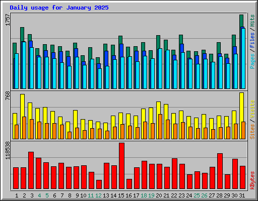 Daily usage for January 2025