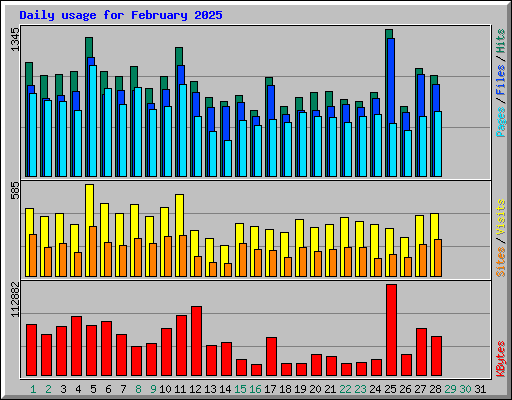 Daily usage for February 2025