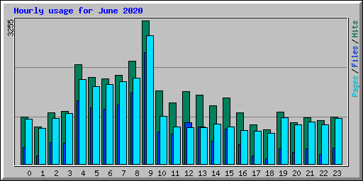 Hourly usage for June 2020