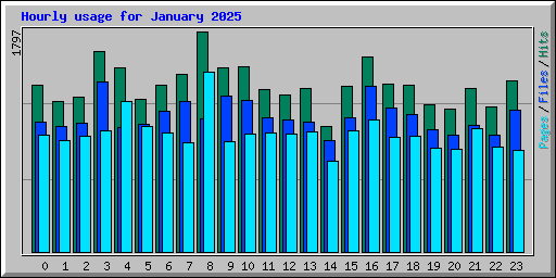 Hourly usage for January 2025