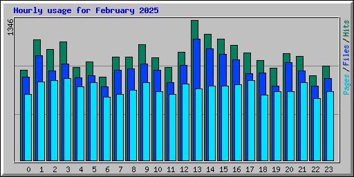 Hourly usage for February 2025