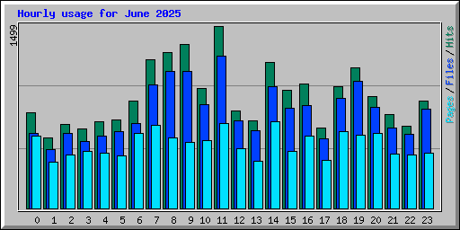 Hourly usage for June 2025