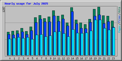 Hourly usage for July 2025