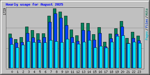 Hourly usage for August 2025
