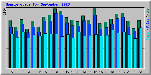 Hourly usage for September 2025