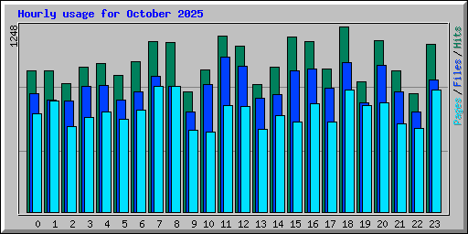 Hourly usage for October 2025