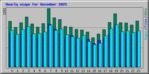 Hourly usage for December 2025